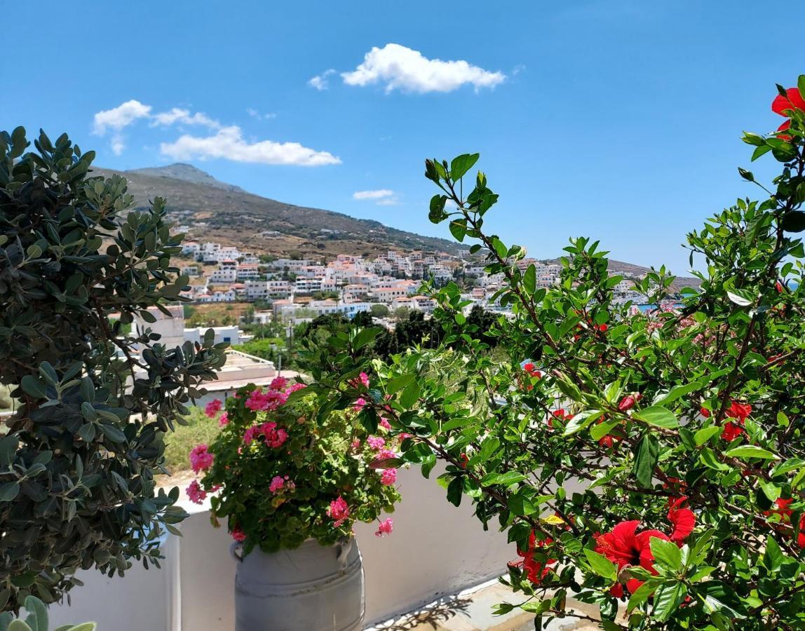 Villa Arni Andros - Βίλα Αρνη Batsíon Exterior foto