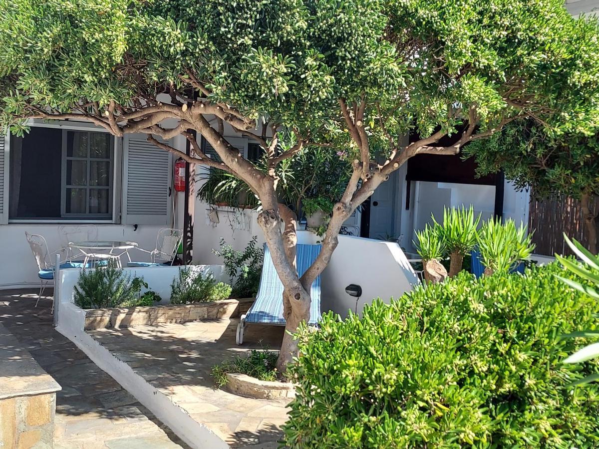 Villa Arni Andros - Βίλα Αρνη Batsíon Exterior foto